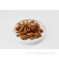 Cocinado congelado Fresh-Cut Nameko Mushroom-600g